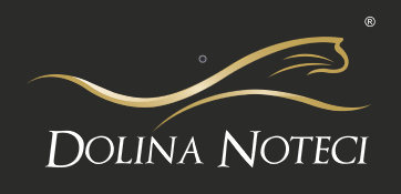 HelpDesk DNP sp. z o.o.